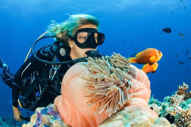 discover-scuba-diving-adventure-in-dubai-with-private-transfer_1